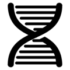 Pharmacutical Pharmacutical